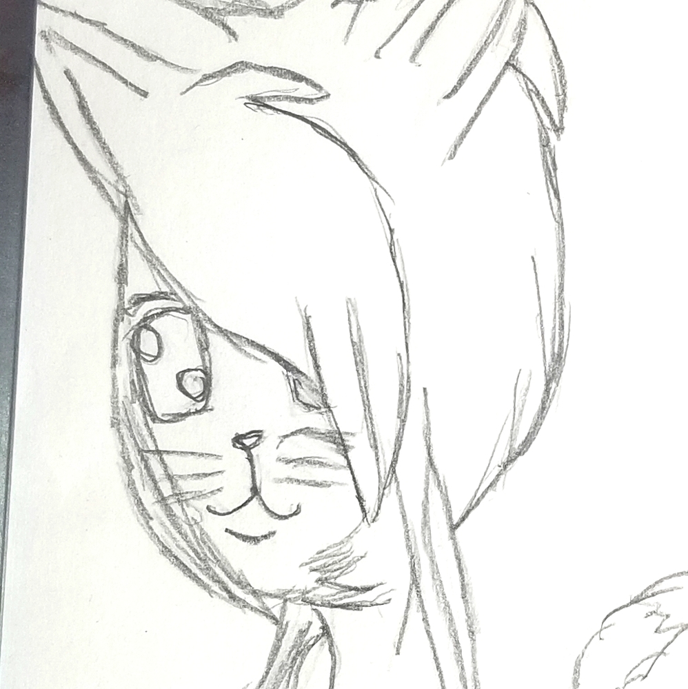 Cat girl drawing 🐱🐈